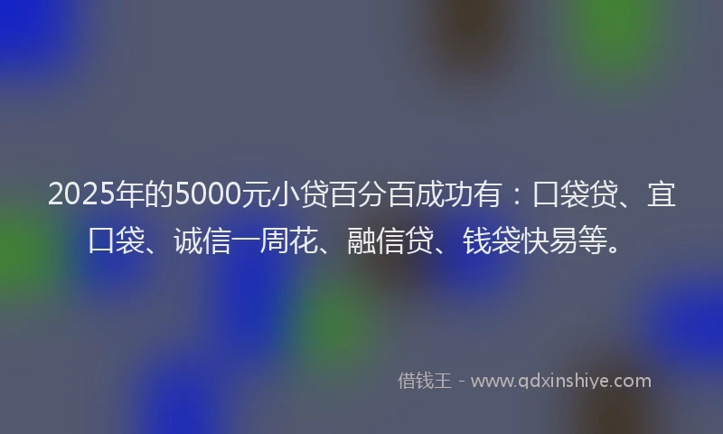 2025年的5000元小贷百分百成功有：口袋贷、宜口袋、诚信一周花、融信贷、钱袋快易等。