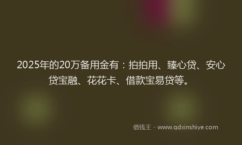 2025年的20万备用金有：拍拍用、臻心贷、安心贷宝融、花花卡、借款宝易贷等。