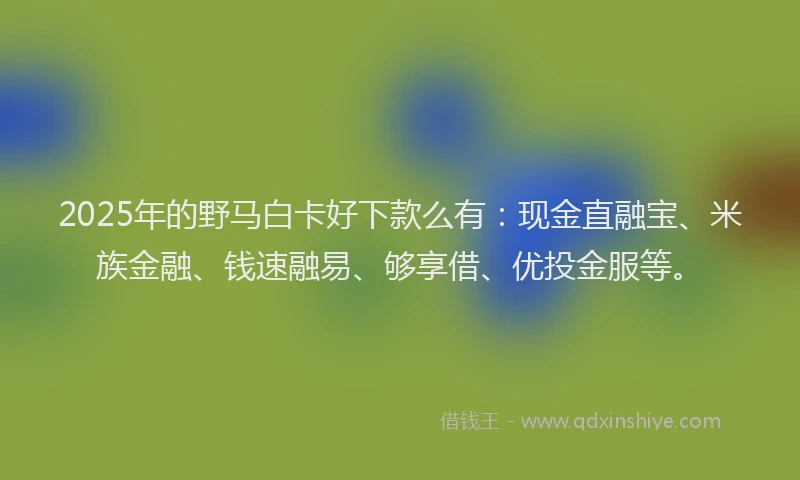 2025年的野马白卡好下款么有：现金直融宝、米族金融、钱速融易、够享借、优投金服等。