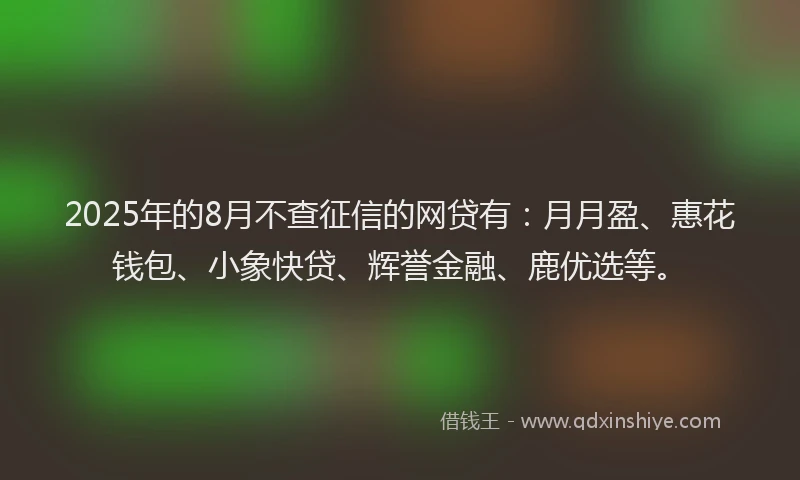 2025年的8月不查征信的网贷有：月月盈、惠花钱包、小象快贷、辉誉金融、鹿优选等。