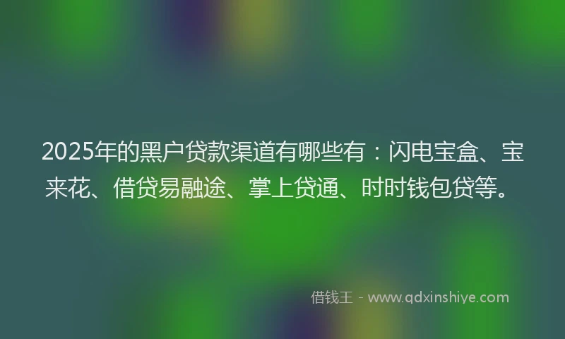 2025年的黑户贷款渠道有哪些有：闪电宝盒、宝来花、借贷易融途、掌上贷通、时时钱包贷等。