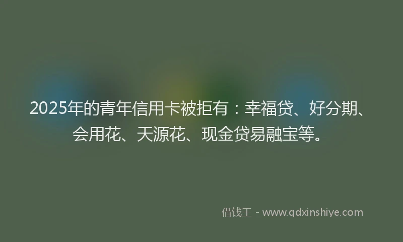 2025年的青年信用卡被拒有：幸福贷、好分期、会用花、天源花、现金贷易融宝等。