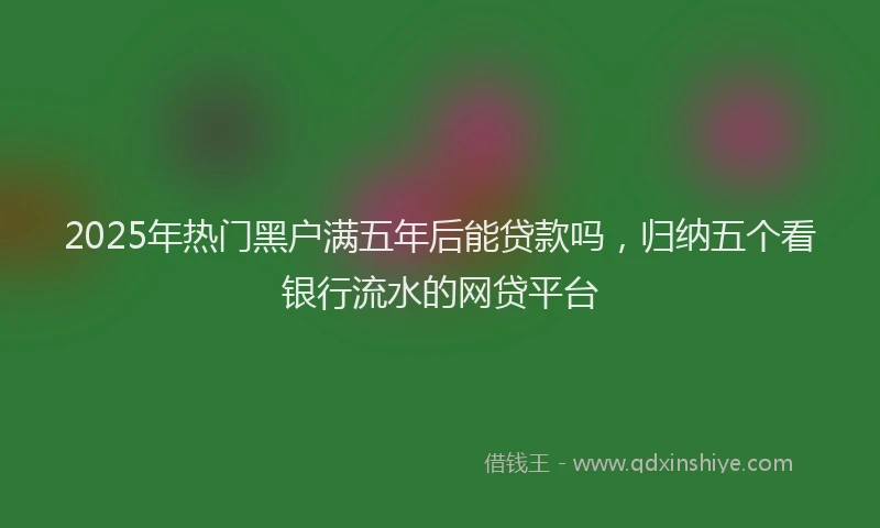 2025年热门黑户满五年后能贷款吗，归纳五个看银行流水的网贷平台