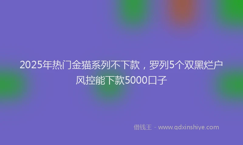 2025年热门金猫系列不下款，罗列5个双黑烂户风控能下款5000口子