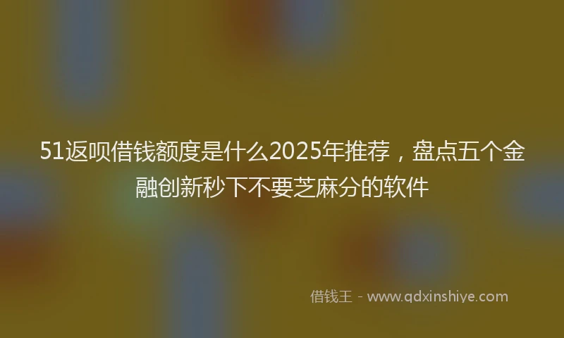 51返呗借钱额度是什么2025年推荐，盘点五个金融创新秒下不要芝麻分的软件