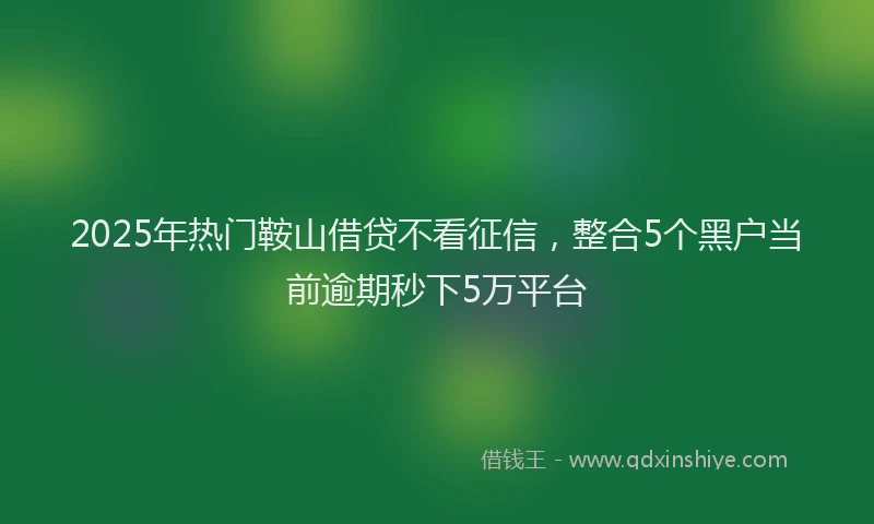2025年热门鞍山借贷不看征信，整合5个黑户当前逾期秒下5万平台