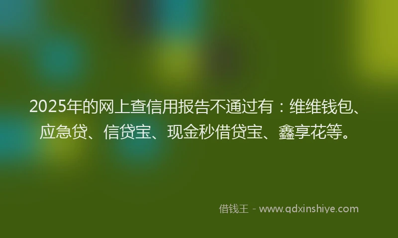 2025年的网上查信用报告不通过有：维维钱包、应急贷、信贷宝、现金秒借贷宝、鑫享花等。