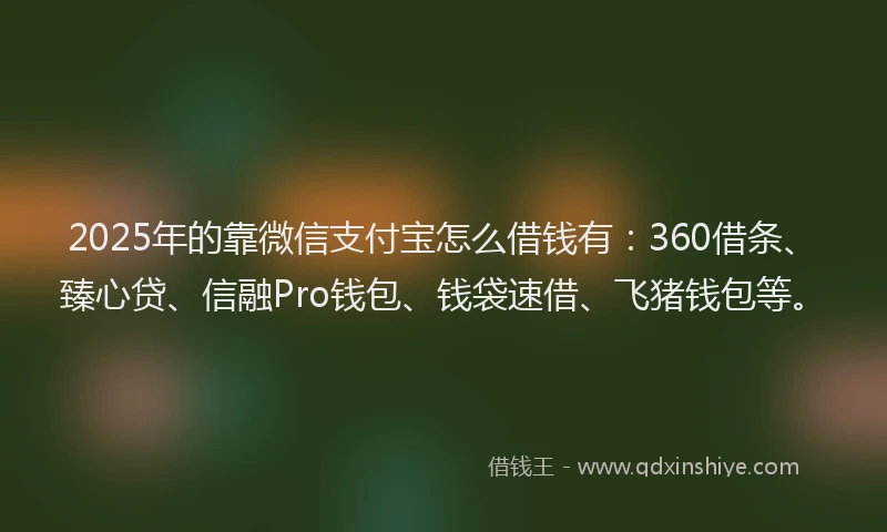 2025年的靠微信支付宝怎么借钱有：360借条、臻心贷、信融Pro钱包、钱袋速借、飞猪钱包等。