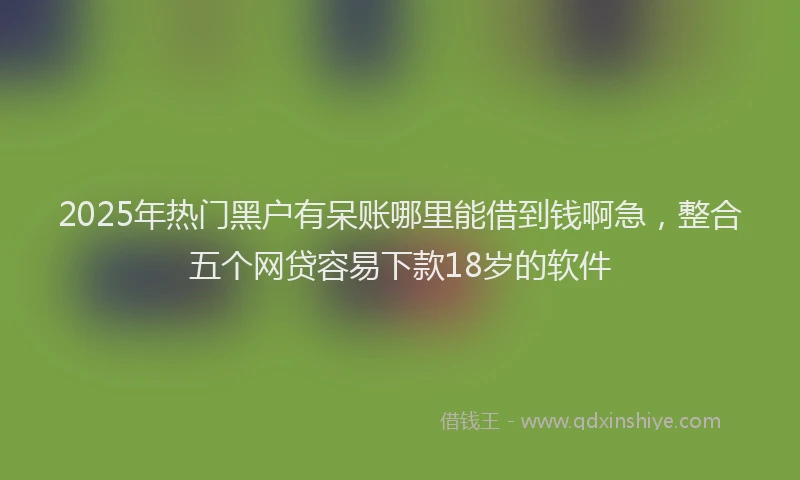 2025年热门黑户有呆账哪里能借到钱啊急,整合五个网贷容易下款18岁的软件
