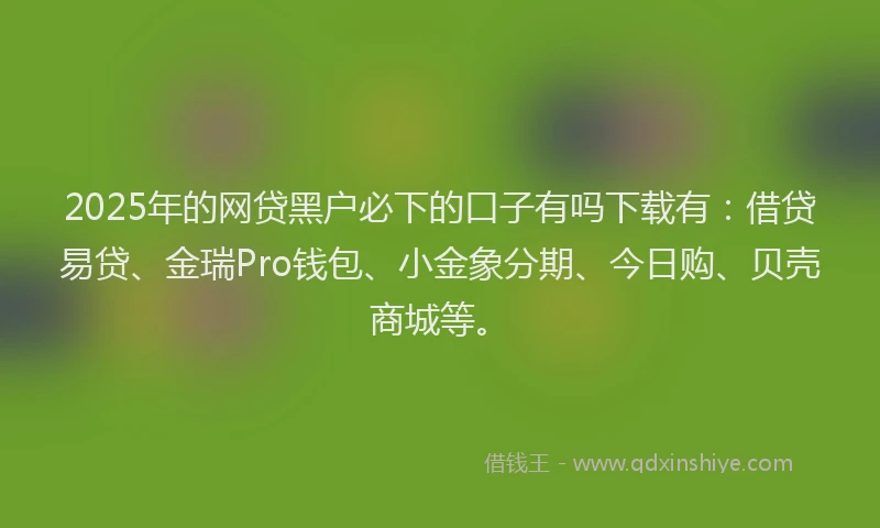 2025年的网贷黑户必下的口子有吗下载有：借贷易贷、金瑞Pro钱包、小金象分期、今日购、贝壳商城等。