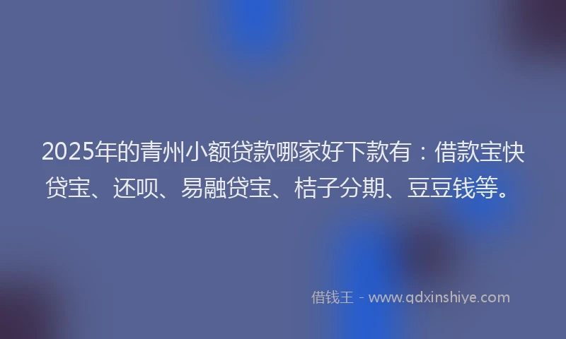 2025年的青州小额贷款哪家好下款有:借款宝快贷宝、还呗、易融贷宝、桔子分期、豆豆钱等。