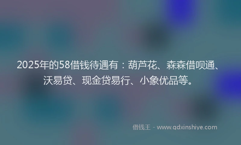 2025年的58借钱待遇有：葫芦花、森森借呗通、沃易贷、现金贷易行、小象优品等。
