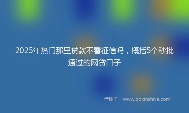 2025年热门那里贷款不看征信吗，概括5个秒批通过的网贷口子