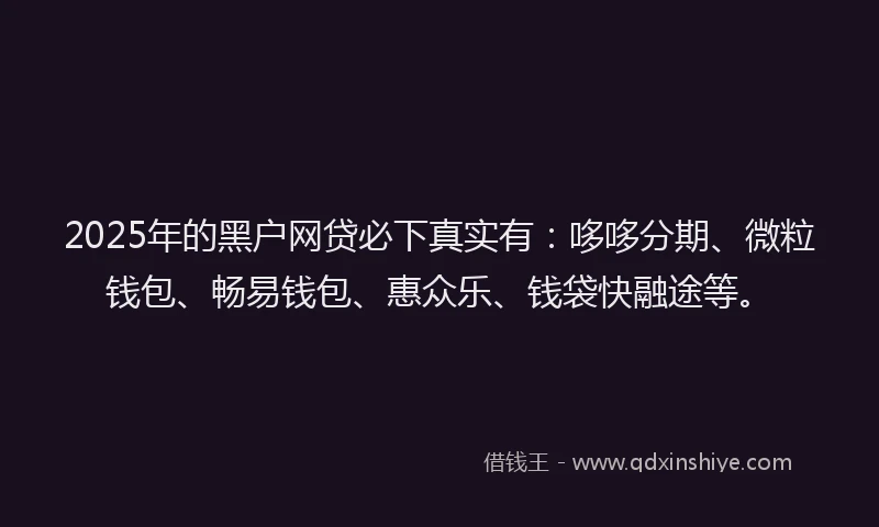 2025年的黑户网贷必下真实有：哆哆分期、微粒钱包、畅易钱包、惠众乐、钱袋快融途等。