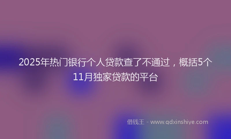 2025年热门银行个人贷款查了不通过,概括5个11月独家贷款的平台