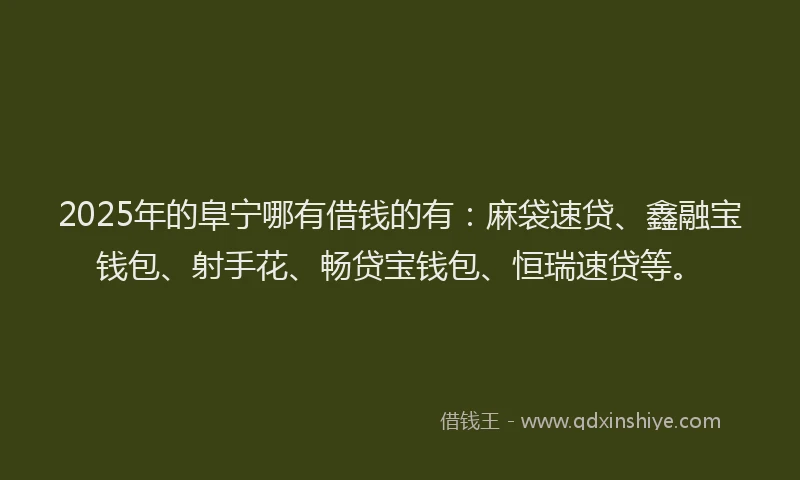 2025年的阜宁哪有借钱的有：麻袋速贷、鑫融宝钱包、射手花、畅贷宝钱包、恒瑞速贷等。
