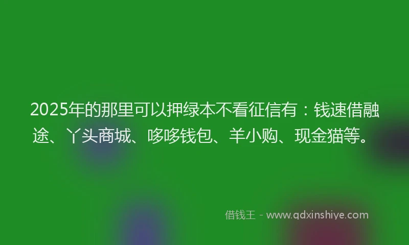 2025年的那里可以押绿本不看征信有：钱速借融途、丫头商城、哆哆钱包、羊小购、现金猫等。