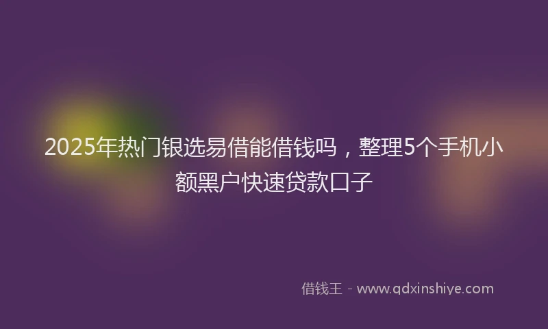 2025年热门银选易借能借钱吗,整理5个手机小额黑户快速贷款口子
