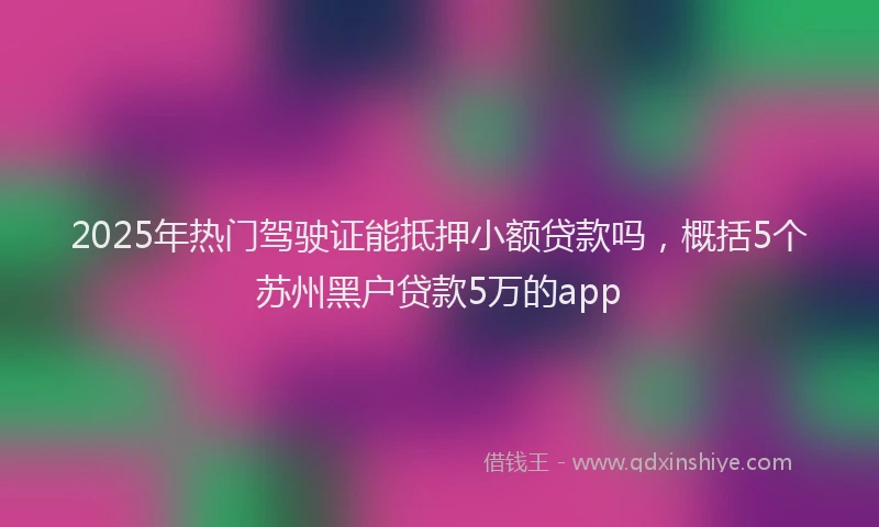 2025年热门驾驶证能抵押小额贷款吗，概括5个苏州黑户贷款5万的app