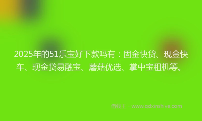 2025年的51乐宝好下款吗有：固金快贷、现金快车、现金贷易融宝、蘑菇优选、掌中宝租机等。