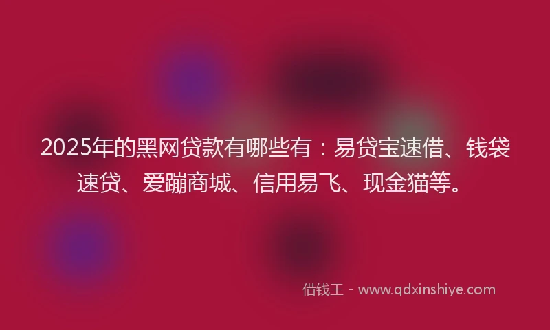 2025年的黑网贷款有哪些有：易贷宝速借、钱袋速贷、爱蹦商城、信用易飞、现金猫等。