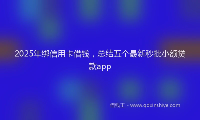2025年绑信用卡借钱，总结五个最新秒批小额贷款app