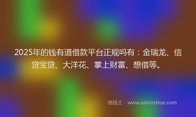 2025年的钱有道借款平台正规吗有：金瑞龙、信贷宝贷、大洋花、掌上财富、想借等。