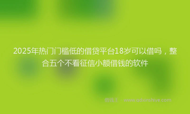 2025年热门门槛低的借贷平台18岁可以借吗，整合五个不看征信小额借钱的软件