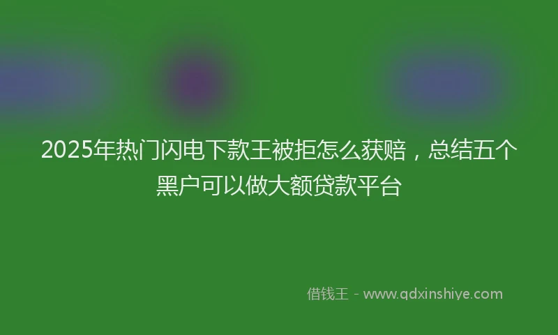2025年热门闪电下款王被拒怎么获赔，总结五个黑户可以做大额贷款平台