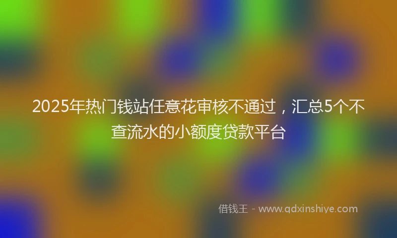 2025年热门钱站任意花审核不通过，汇总5个不查流水的小额度贷款平台