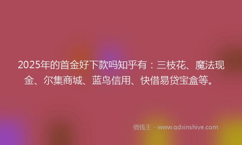 2025年的首金好下款吗知乎有：三枝花、魔法现金、尔集商城、蓝鸟信用、快借易贷宝盒等。