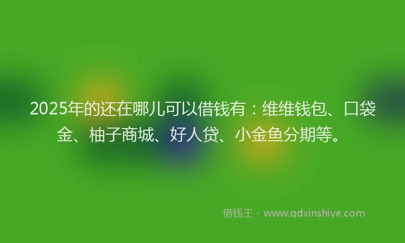 2025年的还在哪儿可以借钱有:维维钱包、口袋金、柚子商城、好人贷、小金鱼分期等。