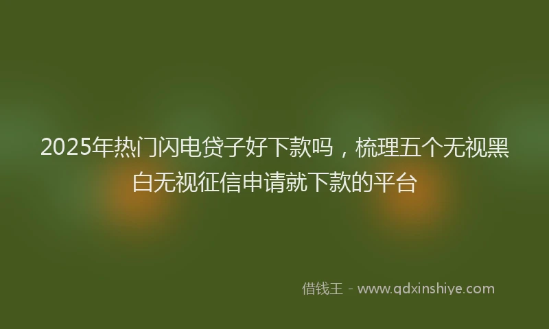 2025年热门闪电贷子好下款吗，梳理五个无视黑白无视征信申请就下款的平台