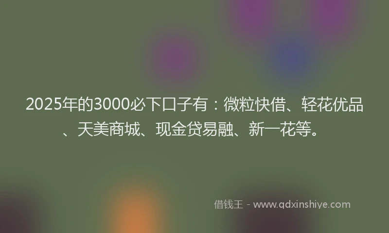 2025年的3000必下口子有：微粒快借、轻花优品、天美商城、现金贷易融、新一花等。