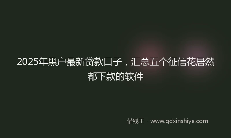 2025年黑户最新贷款口子，汇总五个征信花居然都下款的软件