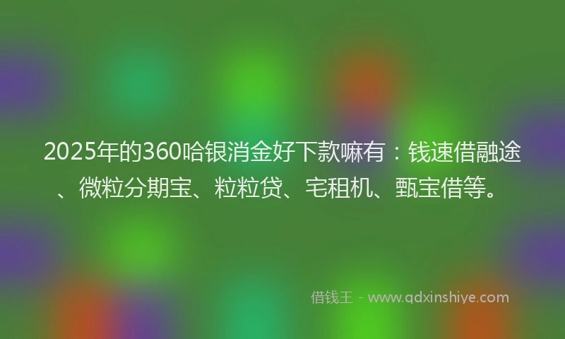 2025年的360哈银消金好下款嘛有：钱速借融途、微粒分期宝、粒粒贷、宅租机、甄宝借等。