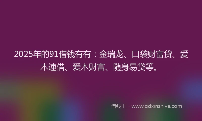 2025年的91借钱有有：金瑞龙、口袋财富贷、爱木速借、爱木财富、随身易贷等。