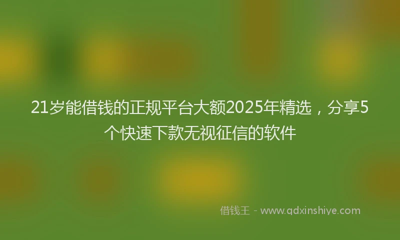 21岁能借钱的正规平台大额2025年精选，分享5个快速下款无视征信的软件