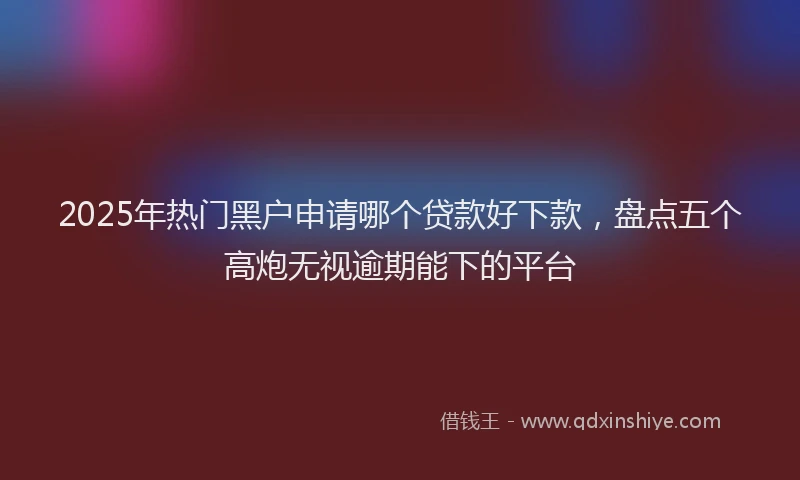 2025年热门黑户申请哪个贷款好下款，盘点五个高炮无视逾期能下的平台