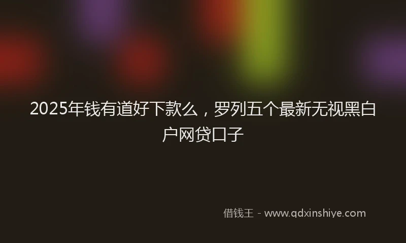 2025年钱有道好下款么,罗列五个最新无视黑白户网贷口子
