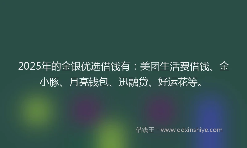 2025年的金银优选借钱有：美团生活费借钱、金小豚、月亮钱包、迅融贷、好运花等。