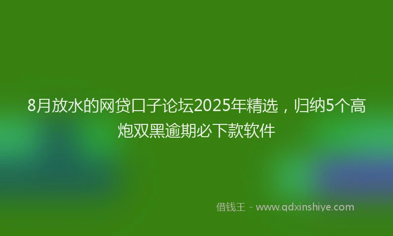 8月放水的网贷口子论坛2025年精选,归纳5个高炮双黑逾期必下款软件