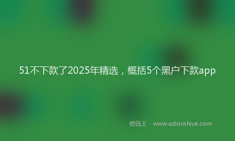 51不下款了2025年精选，概括5个黑户下款app