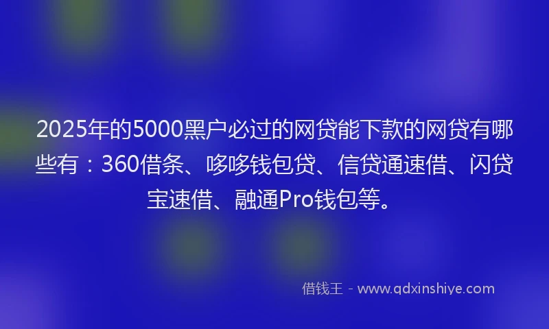 2025年的5000黑户必过的网贷能下款的网贷有哪些有：360借条、哆哆钱包贷、信贷通速借、闪贷宝速借、融通Pro钱包等。