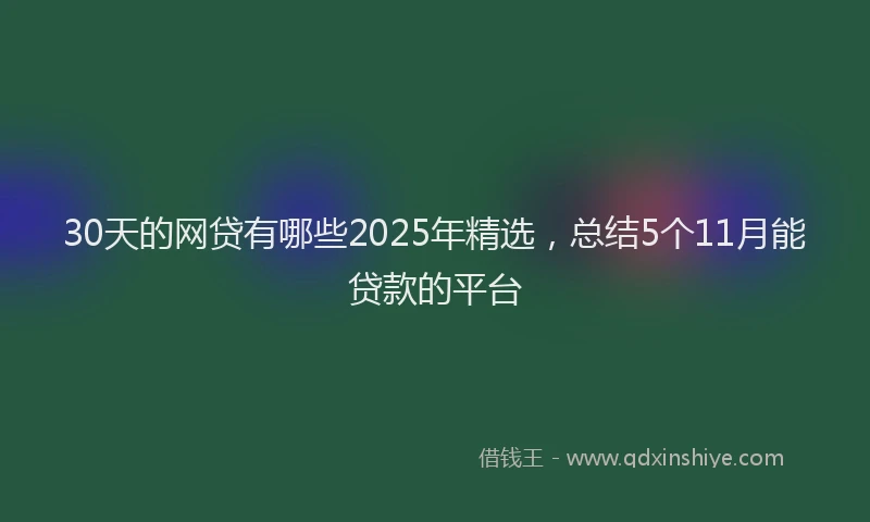 30天的网贷有哪些2025年精选，总结5个11月能贷款的平台
