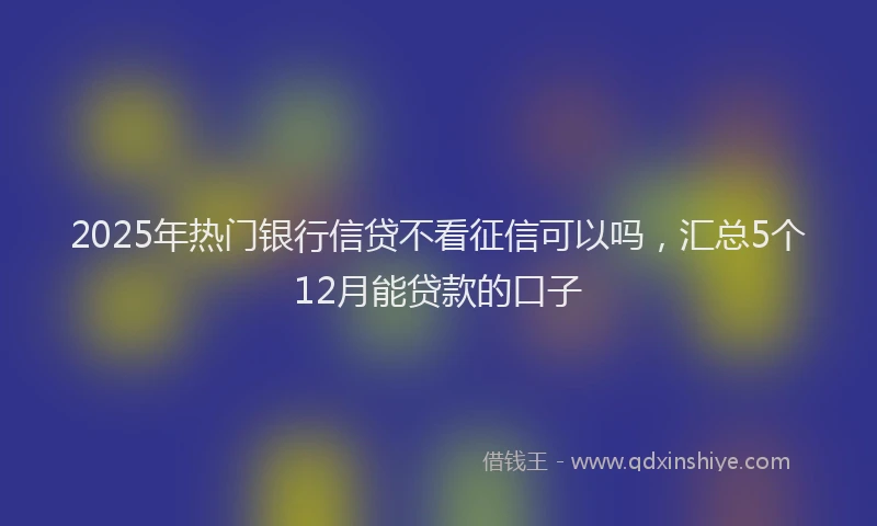 2025年热门银行信贷不看征信可以吗，汇总5个12月能贷款的口子
