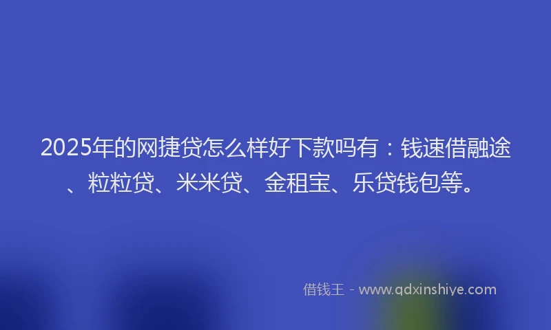 2025年的网捷贷怎么样好下款吗有：钱速借融途、粒粒贷、米米贷、金租宝、乐贷钱包等。