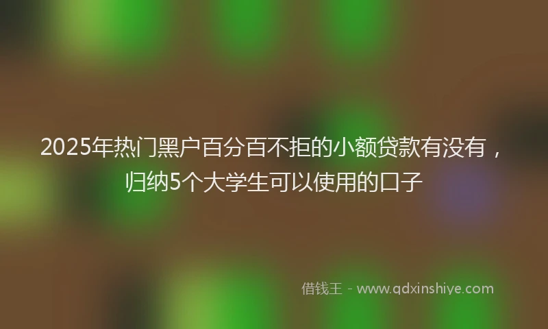 2025年热门黑户百分百不拒的小额贷款有没有，归纳5个大学生可以使用的口子