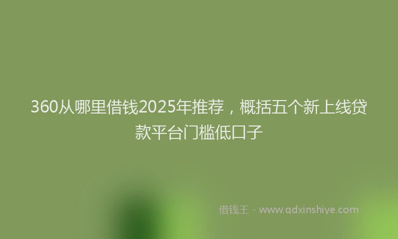 360从哪里借钱2025年推荐，概括五个新上线贷款平台门槛低口子