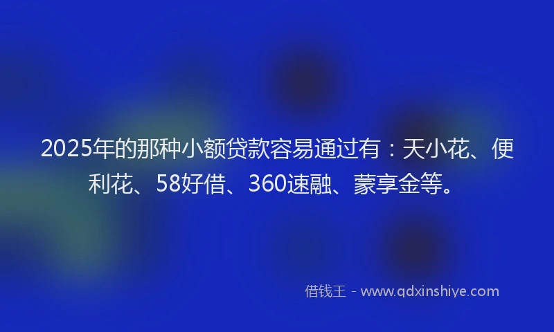 2025年的那种小额贷款容易通过有：天小花、便利花、58好借、360速融、蒙享金等。